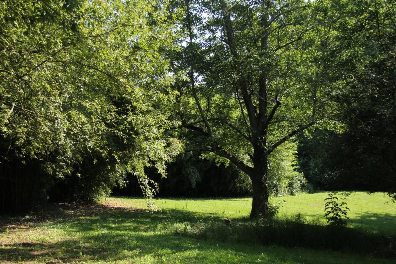 Au Petit Bernerot - Les Gites De L'Arbre Voyageur Eauze ภายนอก รูปภาพ